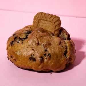 Cinnamon Lotus Cookie